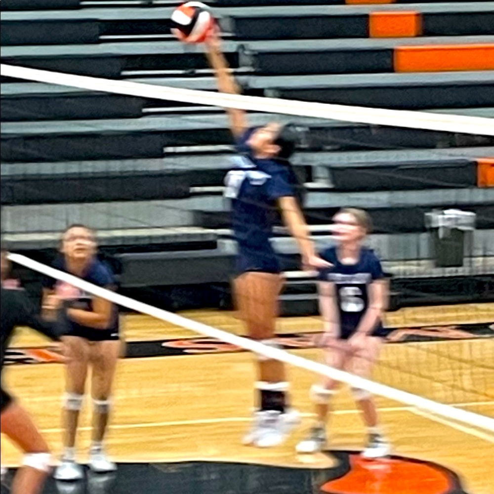 Meet your Posher, Rylee